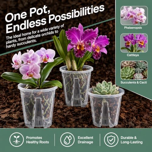 Clear Orchid Pots, 4 inch, 10-Pack - size: 4inch-10pack