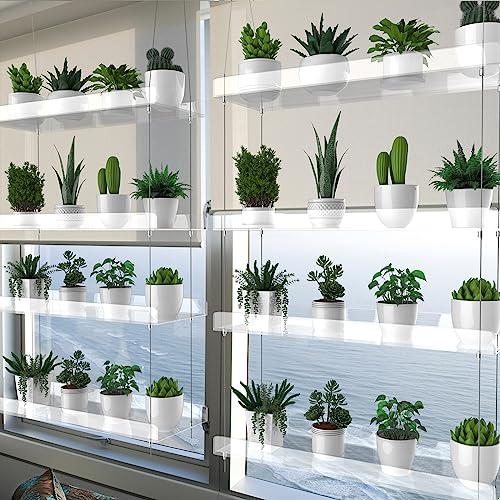 2-Pack Hanging Clear Plant Shelves for Windows, 16 Inch per Tier - size: 2 Pack-4 Tier