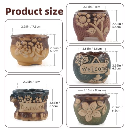 Succulent Ceramic Garden Pots Small Plant Planter Container with Drainage Set of 5 for Home Office Decor - color: C 5-piece Set