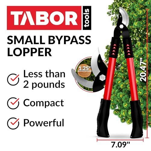 TABOR TOOLS GL18A Small Bypass Lopper, Short 20 Inch Tree Trimmer & Branch Cutter, Compact Tree Pruner with 1 Inch Clean Cut Capacity, Chops Branches with Ease - style: GL18A Small Bypass Lopper