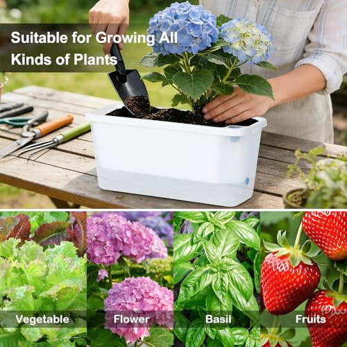 Oliz Window Box Planter 4 Packs, 14 Inches Rectangle Flower Pots with Breathable Drainage Holes, Pots for Vegetables, Herbs, Flowers, Garden Windowsill Balcony (Translucent White) - color: Translucent White