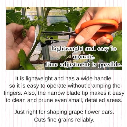 CHIKAMASA B-500SF Japanese Gardening Shears (2-Pack) with a Bonus Microfiber Cleaning Cloth - Fluorine Coated Stainless Steel Precision Trimmers for Grapes, Herbs, and Bonsai