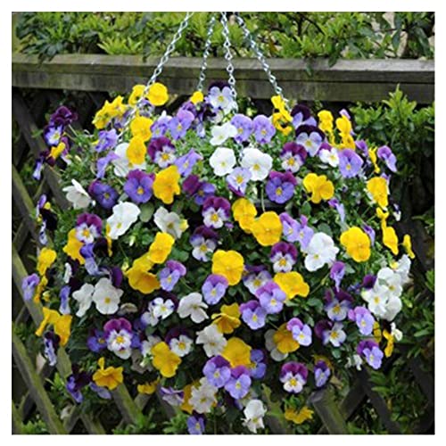 Ultimate Hanging Baskets - Strawberry, Tomato, Flower, and Herb Outdoor Planters - Use Garden Pots for Growing Plants Outside On A Deck, Fence, or Balcony (2) - color: Gray