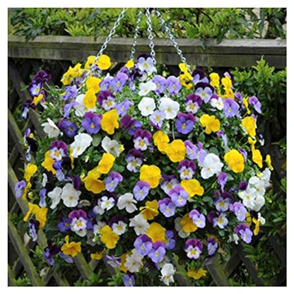 Ultimate Hanging Baskets - Strawberry, Tomato, Flower, and Herb Outdoor Planters - Use Garden Pots for Growing Plants Outside On A Deck, Fence, or Balcony (2) - color: Gray