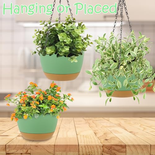 LIYDE 3 Pack Hanging Planters, 8 Inch Small Hanging Pots Self Watering Hanging Planters for Indoor Plants with Drainage Holes and Removable Tray Hanging Basket (Green) - color: Green