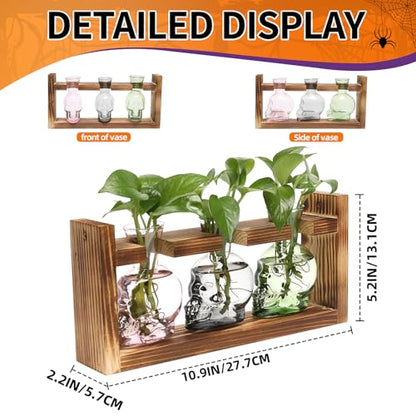 Plant Terrarium Propagation Stations Skull Planter Vase Skulls Decor - color: Grey Green Pink