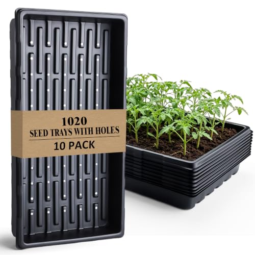 10-Pack Heavy-Duty 1020 Seed Trays with Drain Holes, Reusable Plant Flats - color: Black, size: 10-Pack With-Hole 1020 Trays