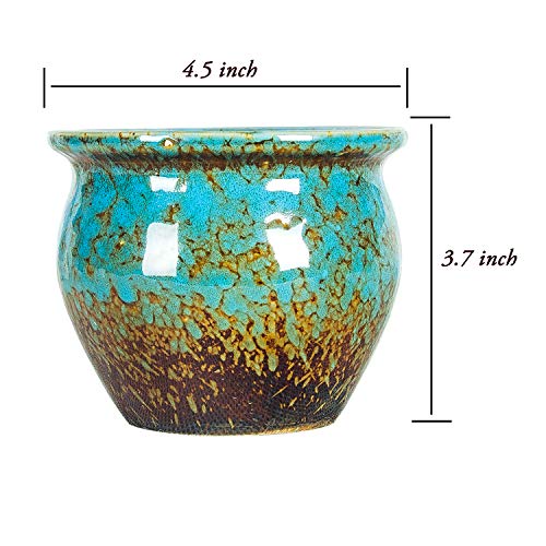 Succulent Pots, 4.5 Inch Small Plant Pots with Drainage Tray - color: Colorful
