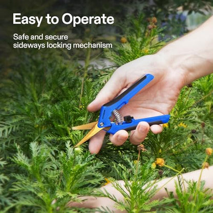 VIVOSUN 6.5 Inch Garden Scissors, Blue Pruning Shears for Plants, 6-Pack - style: Blue Curved Blade