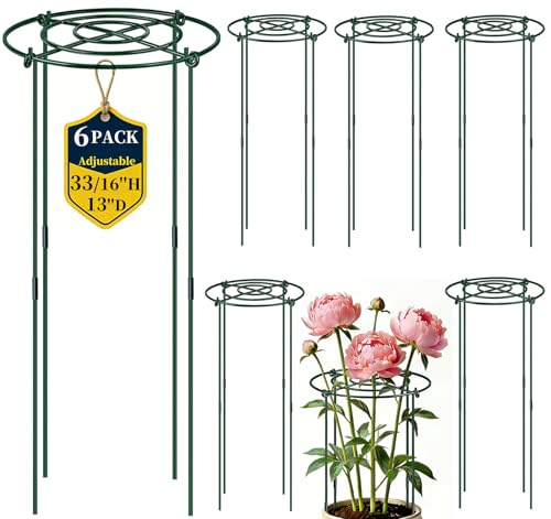 QwayHome 6Pack Peony Cages and Supports 33''H x 13''D Grow Through Large Plant Support, Adjustable High, Heavy Duty, Rust-Resistant, Round, Flower Support Cage Ring for Rose Tomato Hydrangea - size: 6Pack- 13"D x 33"H