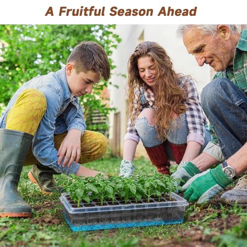 Seed Starter Tray Self Watering, Seed Starter Kit with Grow Light, Full Spectrum Grow Light for Seedling with Timer, Indoor Plant Grow Tray for Beginners & Seasoned Gardeners (144 Cells) - size: 144 Cells