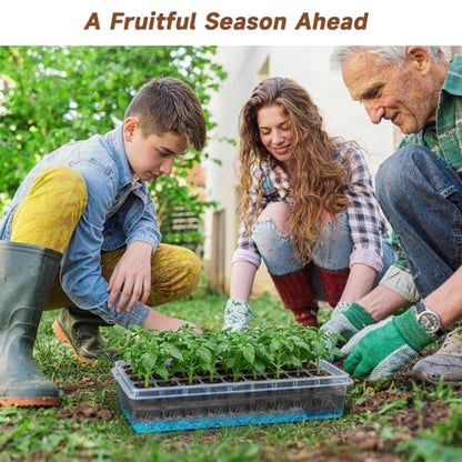 Seed Starter Tray Self Watering, Seed Starter Kit with Grow Light, Full Spectrum Grow Light for Seedling with Timer, Indoor Plant Grow Tray for Beginners & Seasoned Gardeners (144 Cells) - size: 144 Cells
