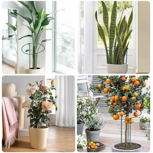 12 Pack Plant Support Stakes, 10" Wide x 16" High Half Round Metal Peony Cages and Support, Green Garden Plant Stake Plant Support Ring Border for Peony Tomato, Hydrangea, Flower Indoor Outdoor