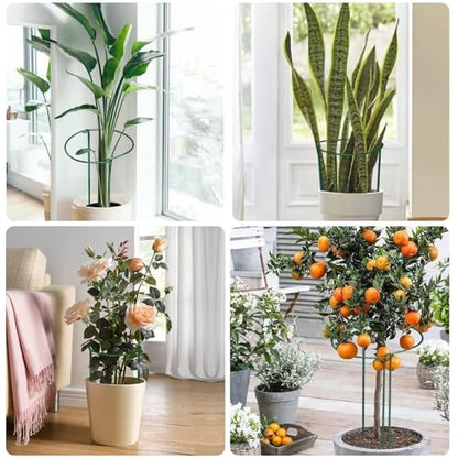 12 Pack Plant Support Stakes, 10" Wide x 16" High Half Round Metal Peony Cages and Support, Green Garden Plant Stake Plant Support Ring Border for Peony Tomato, Hydrangea, Flower Indoor Outdoor