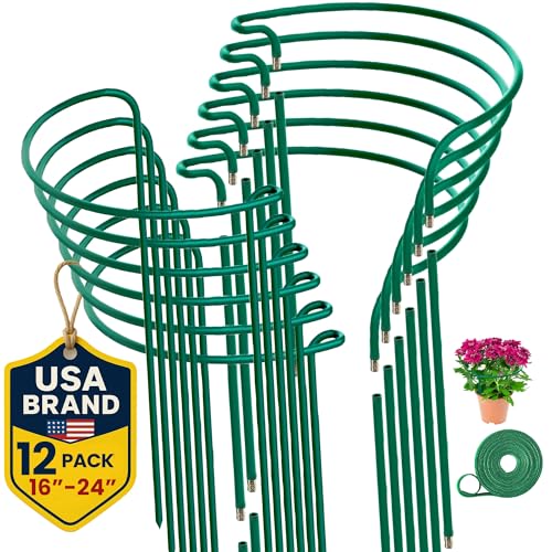 12 Pack Plant Support Stakes – Peony Cages and Supports –10"W x 16" – 24" H - size: 12 Pack (up to 24")