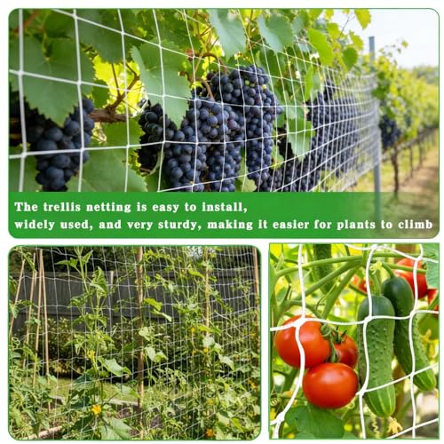 5x30 Ft Trellis Netting for Climbing Plants, Heavy Duty Garden Trellis Netting Plant Climbing Net Trelliss for Tomato Plant Climb Net Trelliss for Bean Peas Vegetable Fruits Flowers Cucumber - size: 5x30 Ft