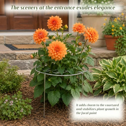 Metal Plant Support Ring for Garden, Heavy Duty Peony & Dahlia Cages and Supports Spiral Flower Support Stake Ring for Indoor Outdoor Potted Flowers (Small)