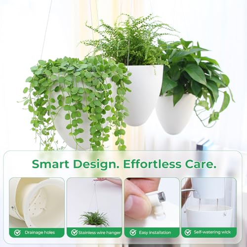Self-Watering Hanging Planter Pot, Indoor Outdoor Plants, 6 Inch, 3 Pack