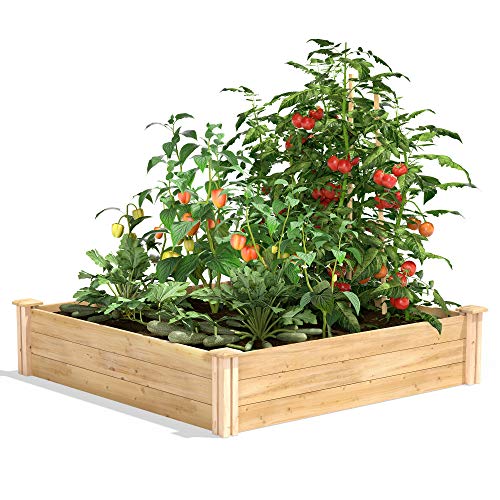 Greenes Fence Premium Cedar Raised Garden Bed, 4' x 4' x 10.5" (3/4" Thick) - Made in USA with North American Cedar - size: 4' W x 4' L x 10.5" H (1-Pack)