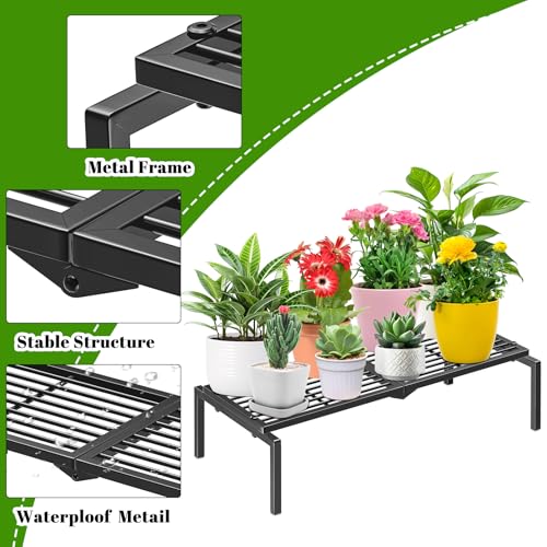 1 Tier Metal Plant Stand Indoor Outdoor, Potted Multiple Flower Pot Holder Rack Plant Shelf, Heavy Duty Planter Display Shelving for Patio Balcony Garden Living Room Decorative (Black) - color: 1 Tier-Black