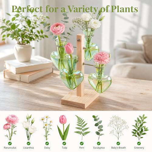 Nacome Plant Terrarium Propagation Stations: Green Vase with Wooden Stand - color: Green