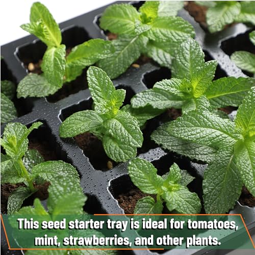 Mr. Pen- Seed Starter Tray Kits, 10 Set, Total 150 Cells - size: 15-Cells 10-Pack
