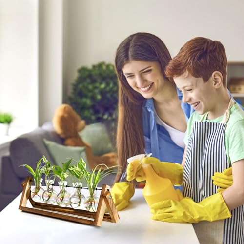 XXXFLOWER Plant Terrarium with Wooden Stand Desk Plant 5 Bulb Vase - size: 5 Bulb Vase