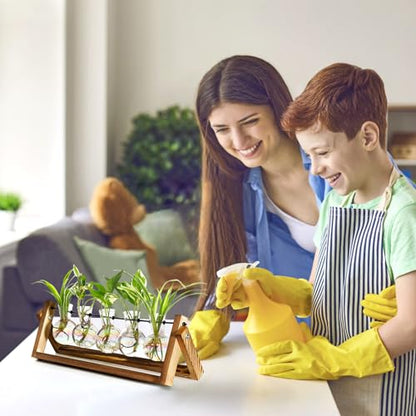 XXXFLOWER Plant Terrarium with Wooden Stand Desk Plant 5 Bulb Vase - size: 5 Bulb Vase