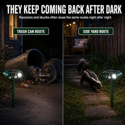 Sonic Fortress Pro Raccoon Repellent Outdoor,Skunk Repellent for Yard 2Pack