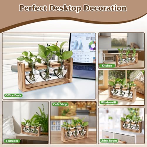 KOCASO Plant Propagation Station, Plant Terrarium with 3 Heart Shaped Vases & Wooden Stand, Desktop Glass Vase for Hydroponic Plants, Home Office Garden Decor Planter Gift for Plant Lovers