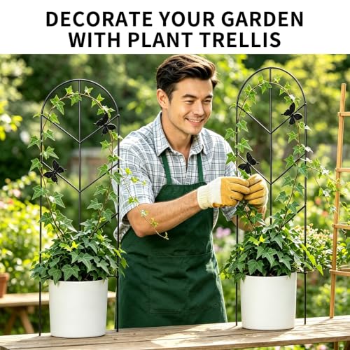2 Pack 31 Inch Trellis for Climbing Plants Indoor, Rustproof Garden Metal Trellis for Potted Plants Outdoor, Sturdy and Durable Plant Support for Climbing Plants Such as Ivy, Monstera and Pothos - size: 31in