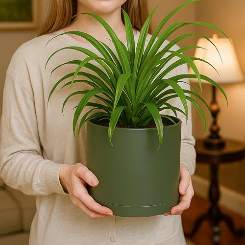 D'vine Dev Plastic Planter Pot with Saucer, 8 in, Olive, 74-X-I-1 - color: Olive, size: 8 Inch