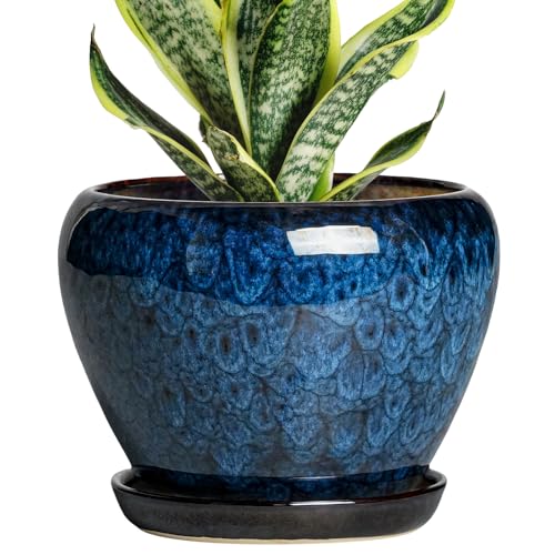 6 Inch Plant Pot - Ceramic Pots for Plants with Drainage Hole and Saucer, Round Succulent Planter Indoor Outdoor, Modern Flower Pot for Snake Plants, Home Decor, Gifts for Plant Lover, Blue - color: Blue, size: 6 Inch