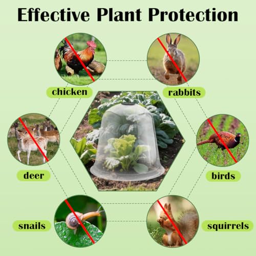 RooTrimmer 13 Inch Humidity Domes Garden Cloches for Plant Protection, Protectors from Animals, Garden Clear Plant Cover with Ventilation Holes 5 Pack - size: 13" D × 12" H 5P