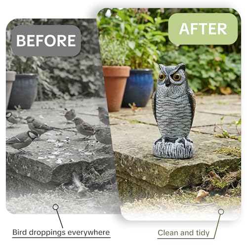 OFFO 2 Pack Realistic Owl Statue, Hand-Painted Garden Owl Decor, 8 Inch - size: 8 in