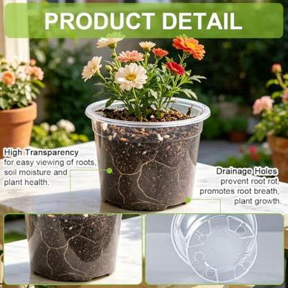 RooTrimmer 100 Pack 2.8 Inches Clear Plant Pots with Drainage Holes, Transparent Seeding Nursey pots, Round Plastic pots for Seeds Starter, Seeds Germination - size: 2.8 Inch 100P