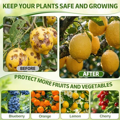6 Pack Fruit Tree Netting Bags with Zipper and Drawstring, 4 x 6 ft