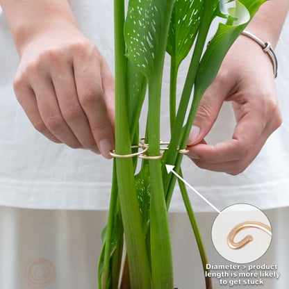 5Pcs Monstera Plant Stem Support Hook-2.75x2.75in Plant Stem Holder - size: 2.75 x 2.75 inches