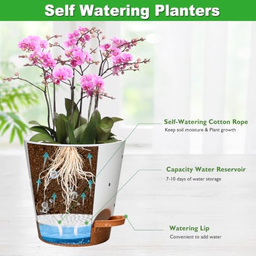 Vanslogreen Orchid Pots with Holes, 6 Inches Self Watering Orchid Pot 2 Pack Plastic Planters Pots for Orchid, Flower (White+brown-5Pack) - color: White+brown-5pack