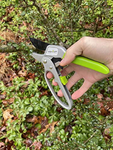 Garden Guru Ratchet Hand Pruning Shears - Professional Garden Clippers with Ergonomic Grip - Makes Tough Cuts Easy (2 Pack) - size: 2 Pack, style: Ratchet