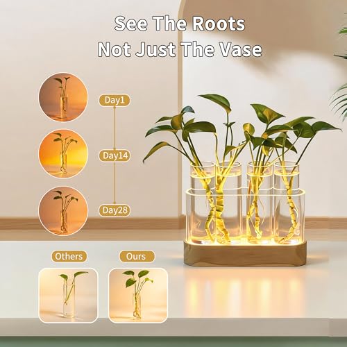 Plant Propagation Station with LED Grow Lights, 4 Glass Tubes & Oak Stand