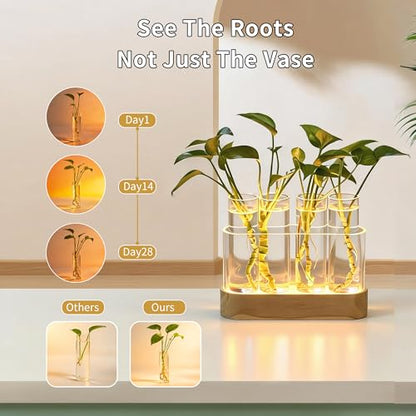 Plant Propagation Station with LED Grow Lights, 4 Glass Tubes & Oak Stand