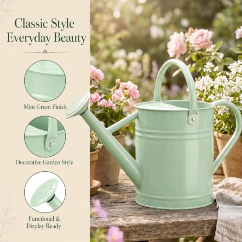 1 Gallon Metal Watering Can for Indoor Outdoor Plants, Pale Mint - color: Pale Mint
