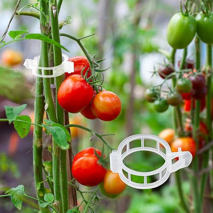 180 Pcs Plant Support Clips, Clear Plastic Trellis Clips, Garden Clips, Vegetable Clips, Vine Tomato Clips for Plants Support, Plant Clips for Climbing Plants to Grow Upright & Healthier - RamPro
