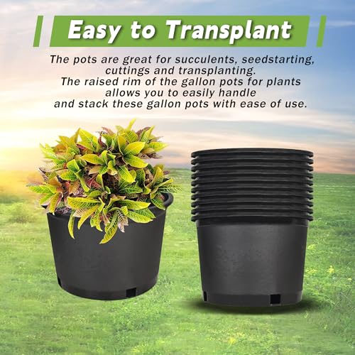 HOSTIC Short 2 Gallon Plastic Plant Container Gallon Pots with Drainage Holes Flexible Nursery Pot Suitable for Indoor Outdoor Vegetables Flowers Plants 10 PCS - size: Short 2 Gallon