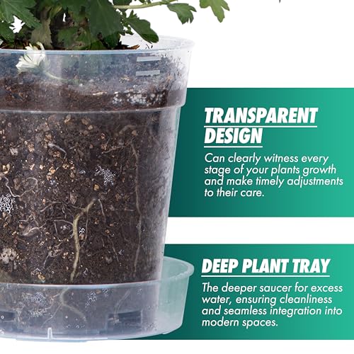 1 Gallon 6 Inch Clear Plastic Plant Pot with Drainage Holes, Interlocking & Detachable Tray - Deep Saucer - Durable BPA-Free Plastic, Transparent Design, Raised Base for Airflow, Set of 6, 92-X-A-6 - size: 6.5" x 7"