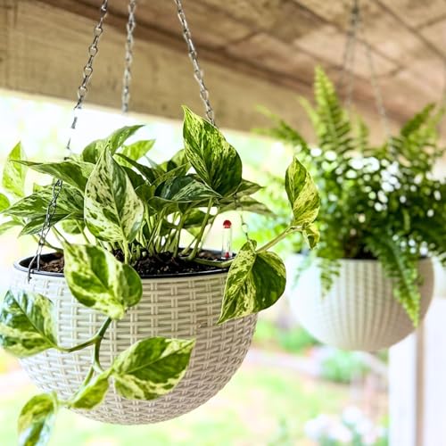 LaLaGreen Hanging Pots for Indoor (11in, 4 Pack) Self-Watering Plant Holder - color: White X 4 Pack