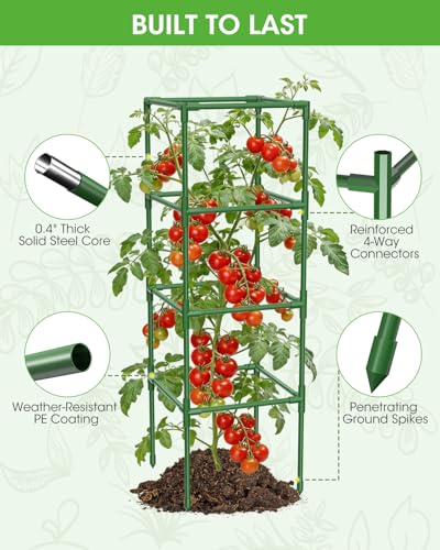 3 Pack Tomato Cages,Square Tomato Plant Stakes Support Cages Trellis for Garden Climbing Vegetables Flowers Fruits,Extra Bold - color: green
