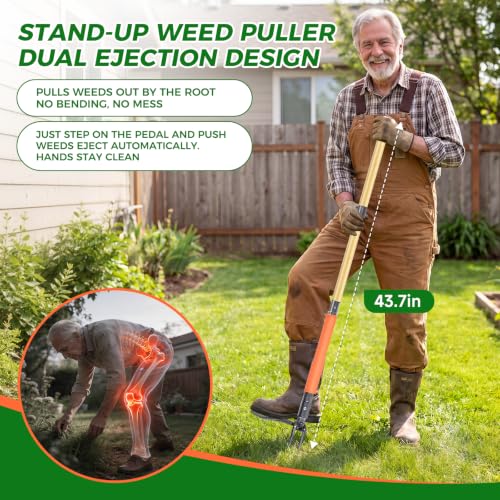 Stand Up Weed Puller Tool, 4-Claw Steel Head with Dual-Eject Design - color: orange
