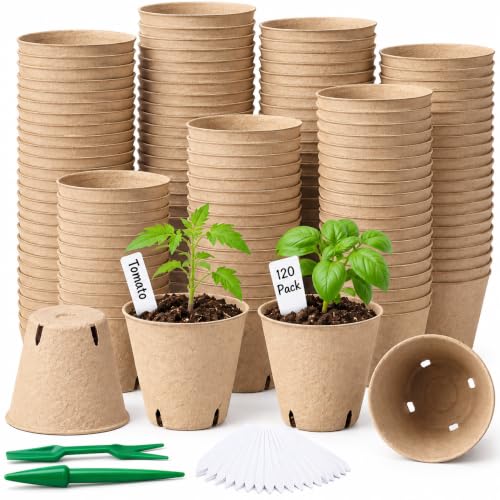 Baxrou 120 Pack 3.15 Inch Peat Pots with 30 Labels and 2 Transplant Tools - style: Round